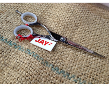 Powered by Jaguar Germany 